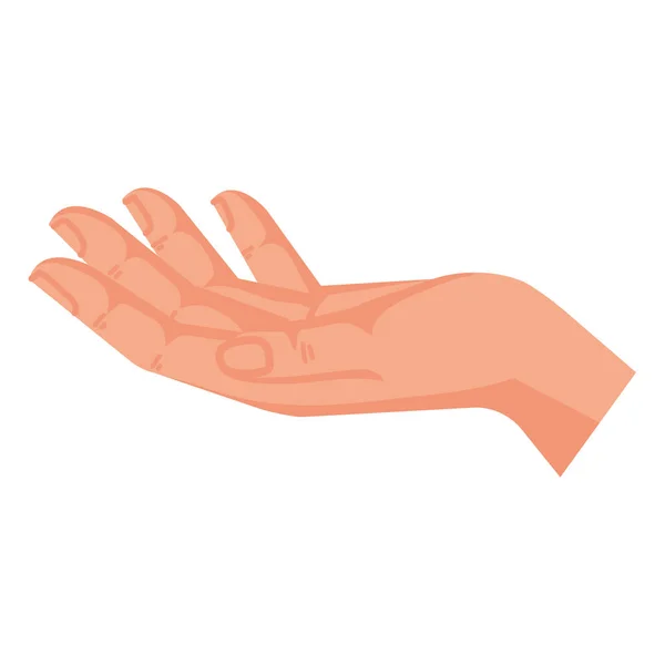 Hand Human Receiving Gesture Icon — Stock Vector