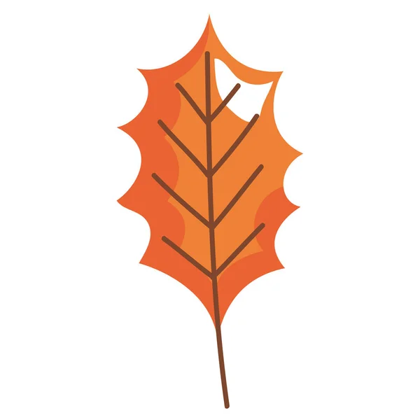 Orange Herbst Urlaub Natur Symbol — Stockvektor