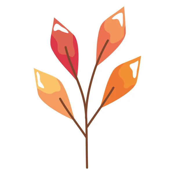 Осенняя Ветвь Листовой Иконой — стоковый вектор