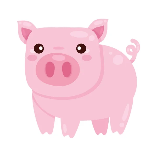 Niedlichen Schwein Bauernhof Tier Charakter — Stockvektor