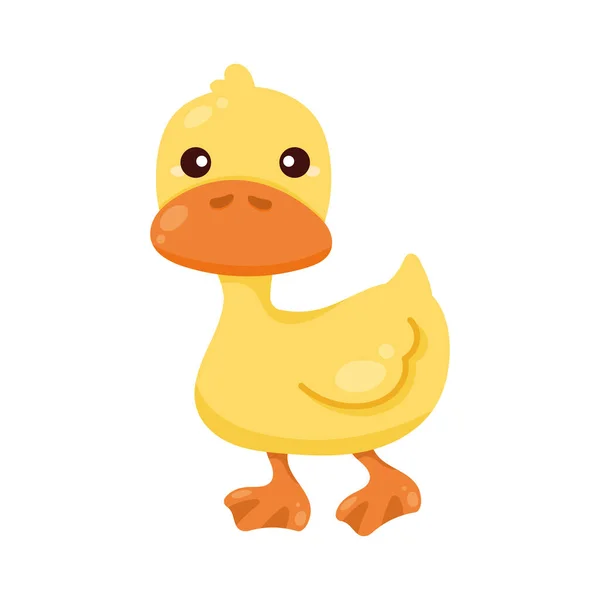 Cute Duck Farm Animal Character — Stok Vektör