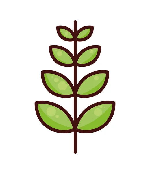 Planta Maíz Hojas Icono Granja — Vector de stock