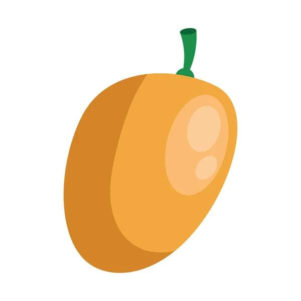 Mango Vers Fruit Gezond Icoon — Stockvector