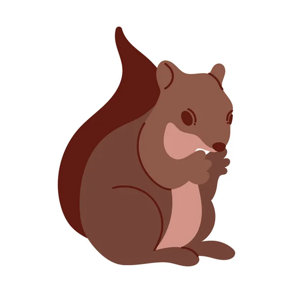 Écureuil Petit Animal Automne Icône — Image vectorielle