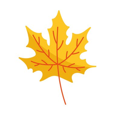 Sarı akçaağaç yaprağı sonbahar mevsimi