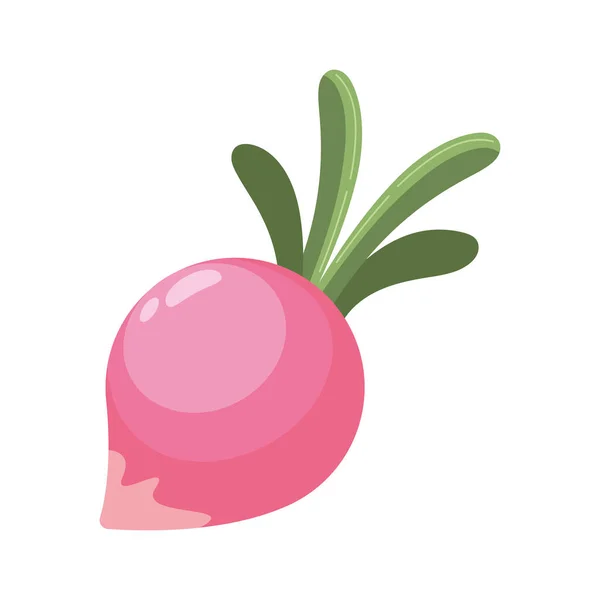 Fresh Onion Vegetable Nature Icon — Stock Vector
