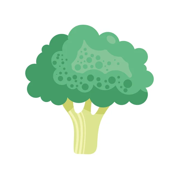 Broccoli Färsk Grönsak Natur Ikon — Stock vektor