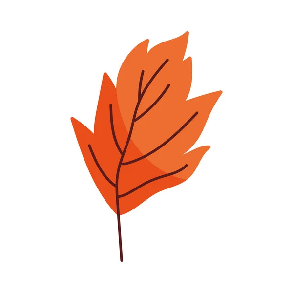 Orange Herbst Blatt Saisonale Ikone — Stockvektor
