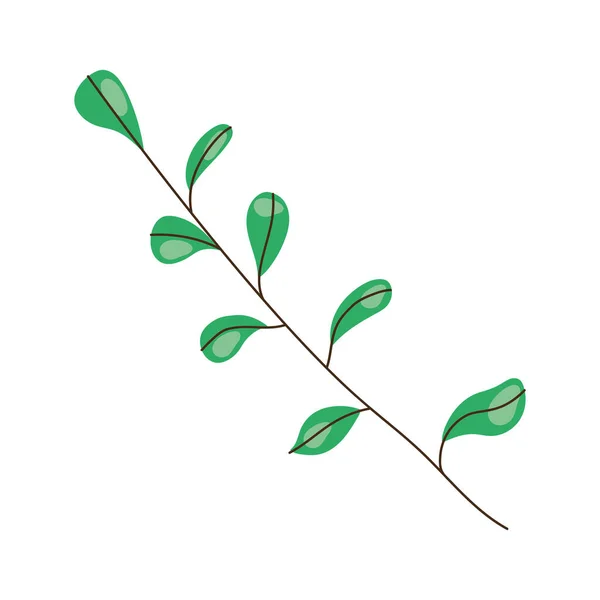 Green Leafs Branch Icon — Stock Vector