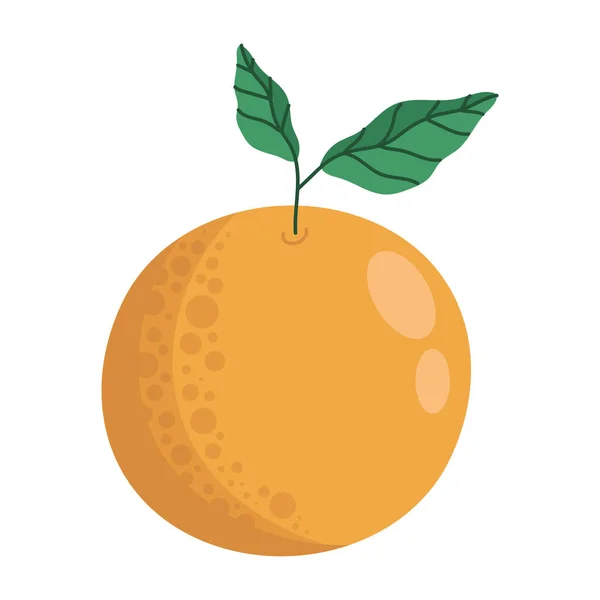 Naranja Fruta Fresca Naturaleza Icono — Vector de stock