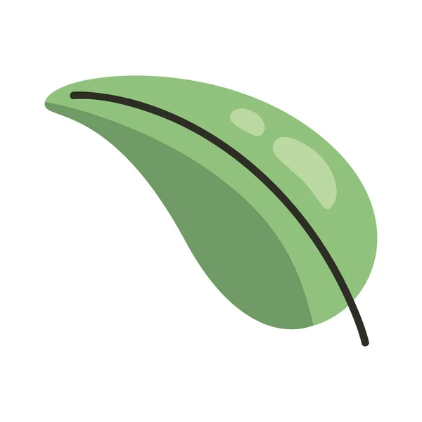 Zielony Liść Roślin Ikona Przyrody — Wektor stockowy