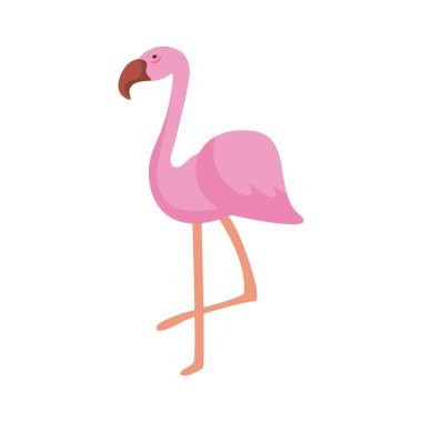 egzotik flamingo kuş hayvan simgesi