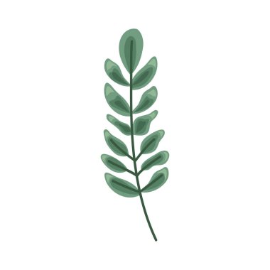 branch with green leafs plant