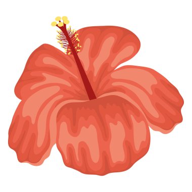 tropik kırmızı çiçek süsleme simgesi