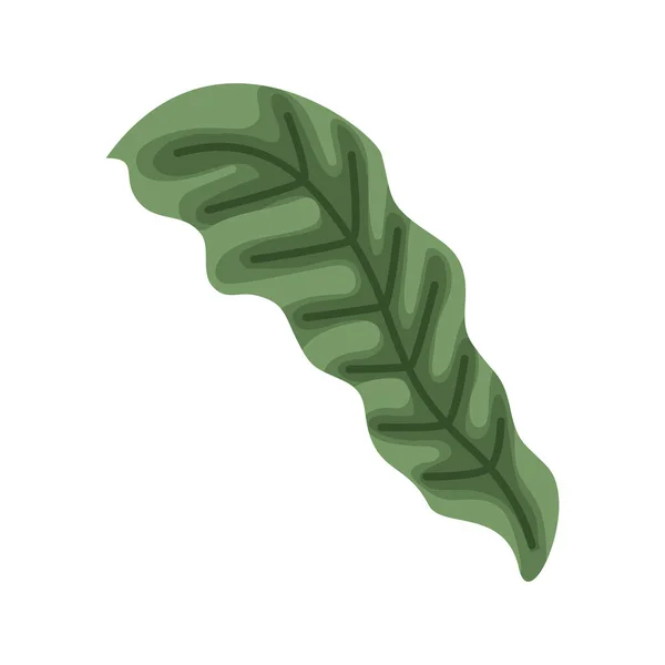 Groen Blad Plant Natuur Icoon — Stockvector