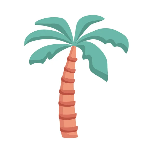 Árbol Palma Tropical Aislado Icono — Archivo Imágenes Vectoriales