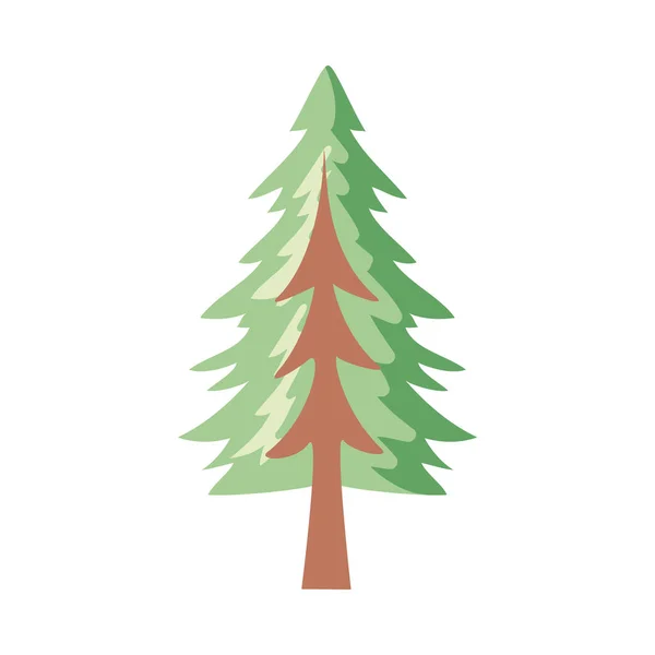 Coniferus Pine Tree Isolated Icon — Stock Vector