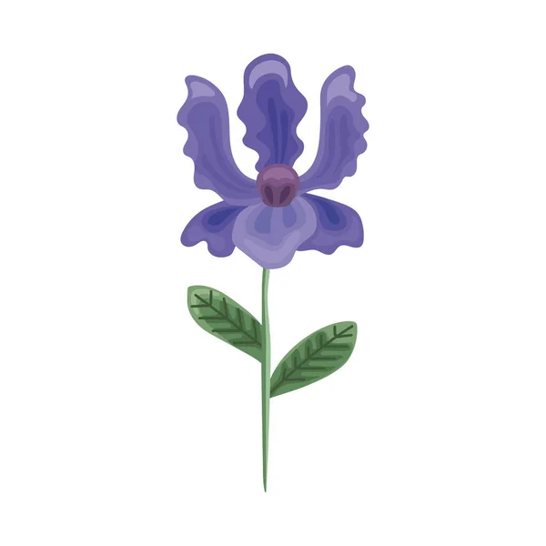 Mor Egzotik Çiçek Doğa Simgesi — Stok Vektör