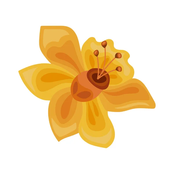 Žlutá Exotická Květinová Ikona Přírody — Stockový vektor
