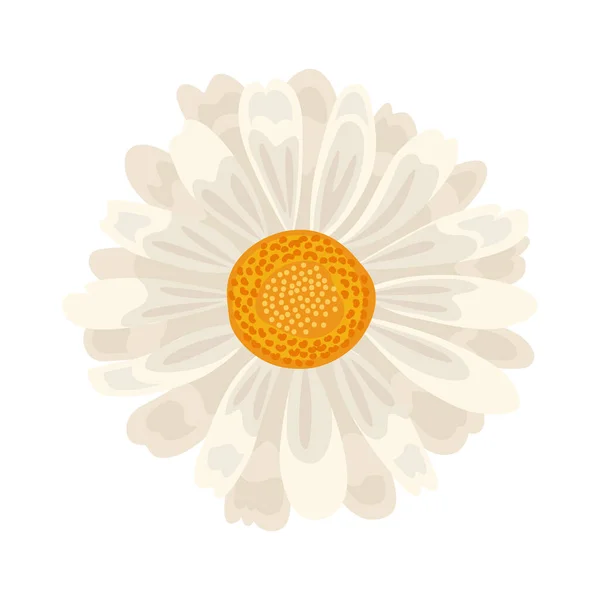Biały Piękny Kwiat Natura Ikona — Wektor stockowy