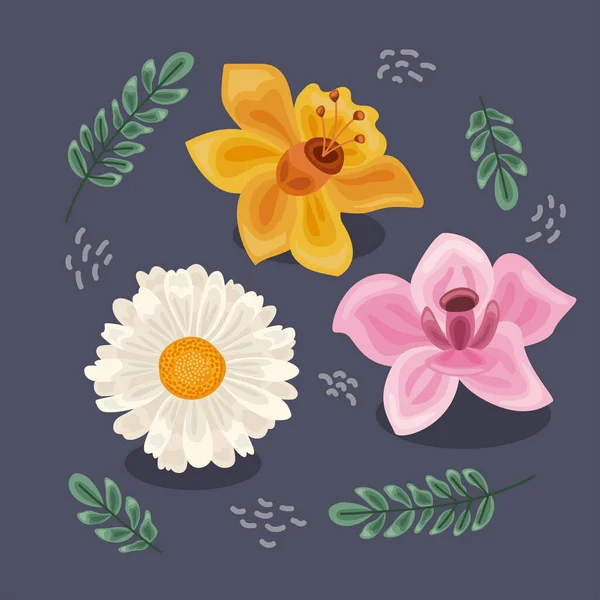 Три Цветка Плакат Листьями — стоковый вектор