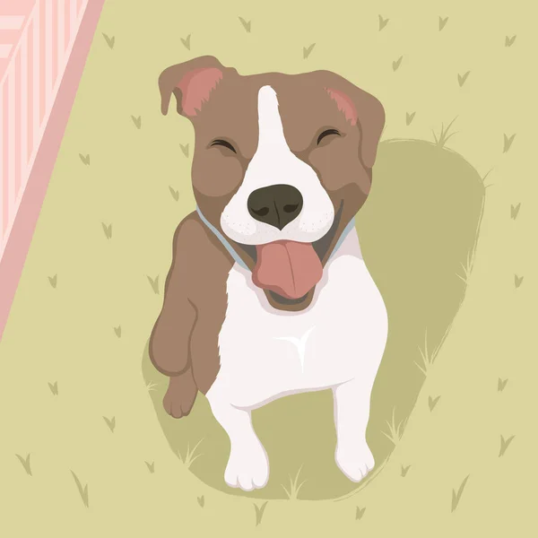 Cute Little Dog Mascot Character — Stock Vector