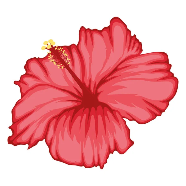 エキゾチックな花の装飾熱帯のアイコン — ストックベクタ