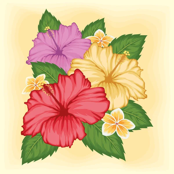 Affiche Décoration Hibiscus Fleurs Feuilles — Image vectorielle