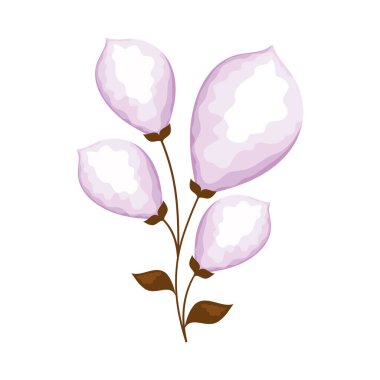 leylak çiçekleri dekorasyon doğa simgesi