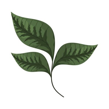 Yapraklar bahçe bitkisi ikonu