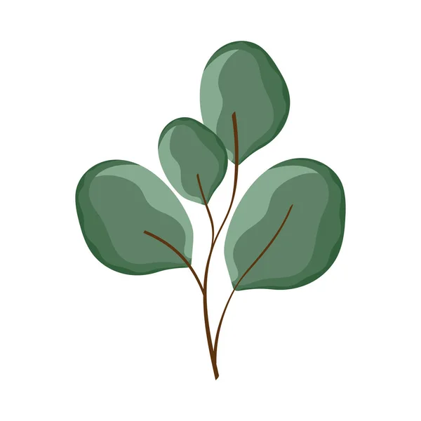 Πράσινο Βοτανικό Φύλλο Εικονίδιο Της Φύσης — Διανυσματικό Αρχείο