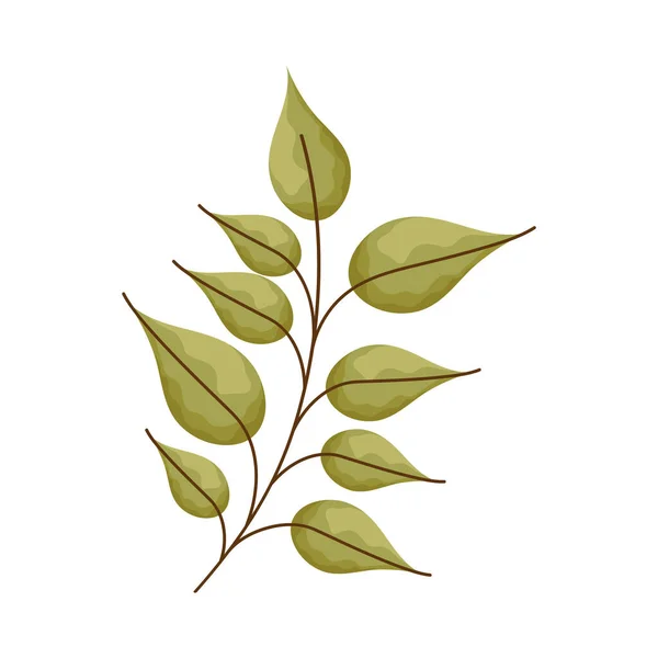 Zöld Levelek Növény Kert Ikon — Stock Vector