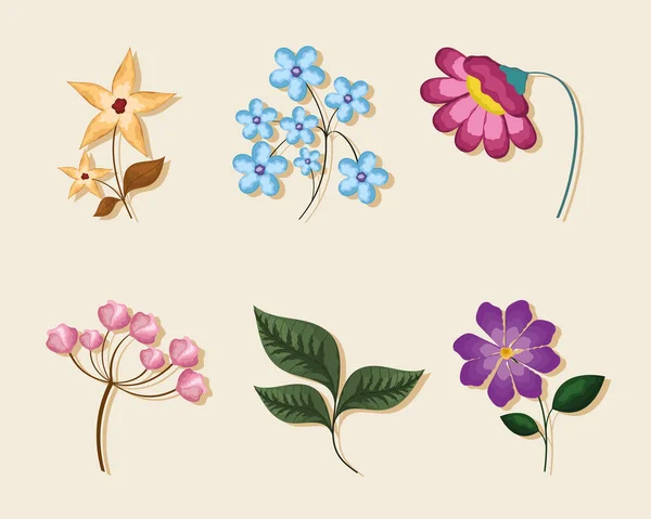 Sechs Blumen Garten Set Dekorationen — Stockvektor