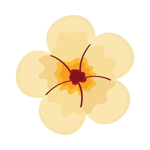 白色花瓣自然图标 — 图库矢量图片