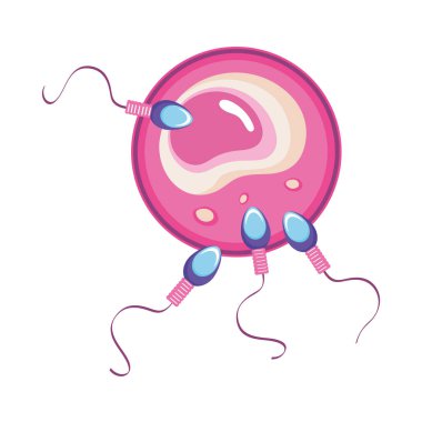 Sperm sağlığı olan yumurta.