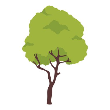 Ağaç bitkisi doğa simgesi