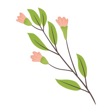 pembe çiçekler ve yapraklar dekorasyon