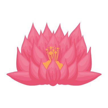 Pembe nilüfer çiçeği etnik simgesi