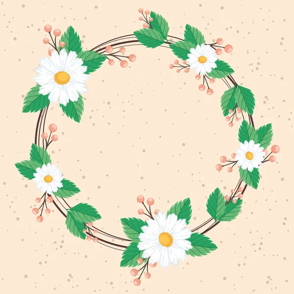 Beyaz Çiçekler Papatya Taç Bırakır — Stok Vektör