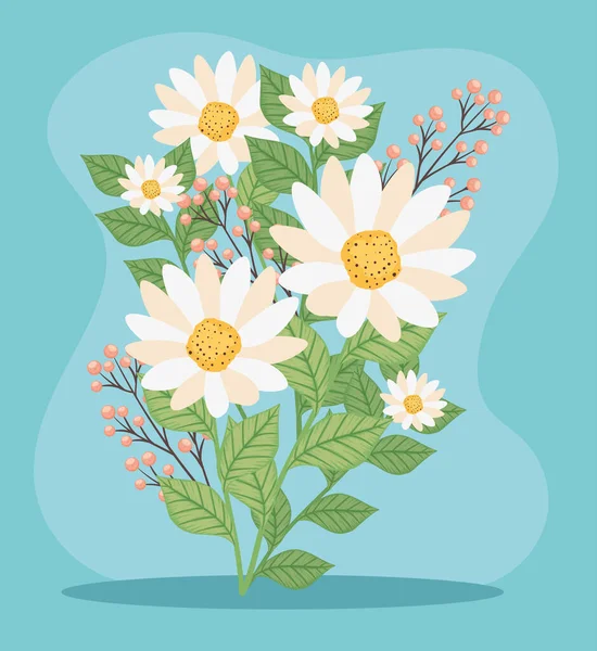 Madeliefje Bloemen Zaden Decoratie — Stockvector