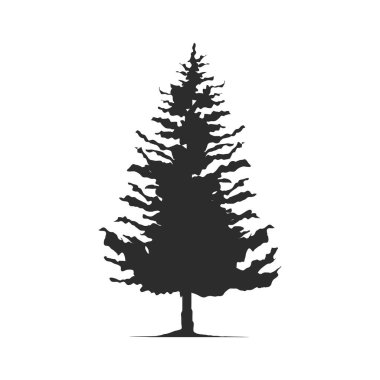 çam ağacı siluet biçimi simgesi