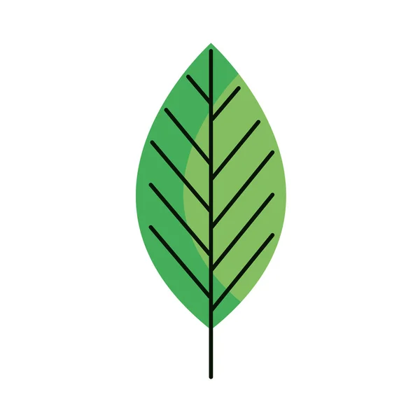 Ecology Leaf Plant Green Icon — Vettoriale Stock