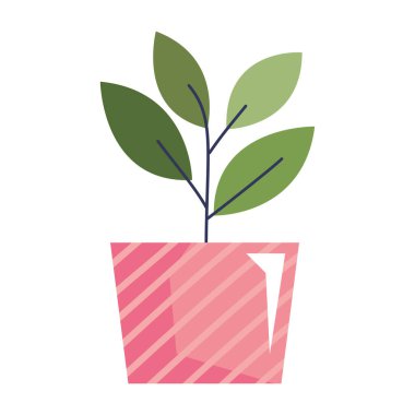 Pembe saksı ikonunda ev bitkisi