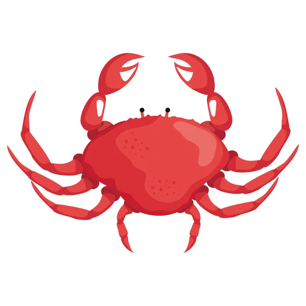 Red Crab Animal Sealife Icon — Vector de stock