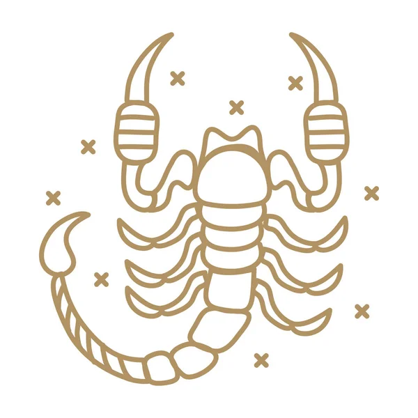 Знак Зодиака Скорпиона Астрологии — стоковый вектор