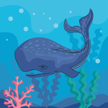 Vahşi balina sualtı doğa sahnesi