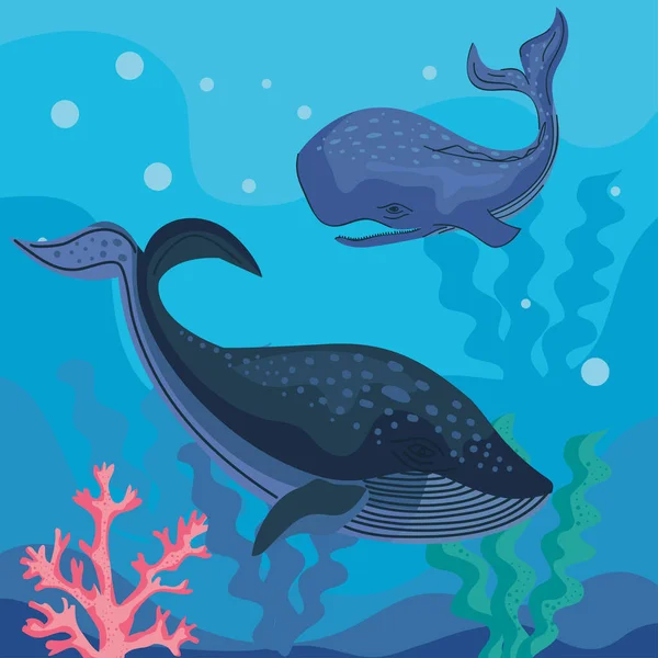 Dwa Wieloryby Pływające Sceny Zwierząt — Wektor stockowy