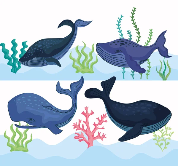 Quatro Baleias Submarino Natureza Cena — Vetor de Stock