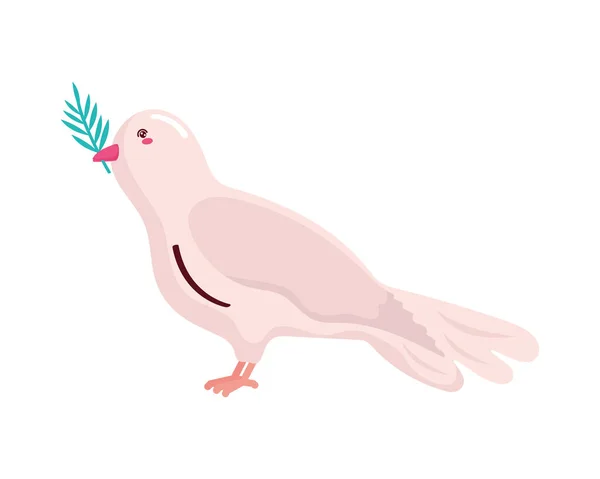 Güvercin Zeytin Dalı Simgesiyle — Stok Vektör