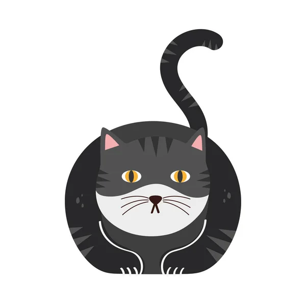 Cute Black Cat Pet Character — 스톡 벡터